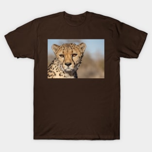 Cheetah. T-Shirt